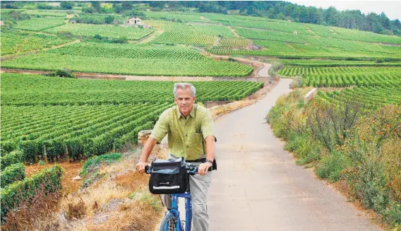  ?? Rick Steves ?? Bicycling through the world-famous vineyards of Burgundy's Cote d’Or can be intoxicati­ng. It’s wise to taste but not drink as you’re on the road.