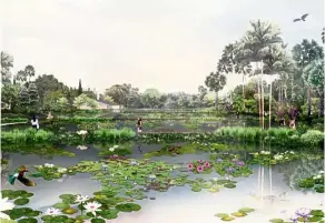  ?? — National Parks Board Singapore/artist impression ?? The gardens will showcase more than 140 varieties of water lilies, including more than 100 varieties that are new here, such as the Australian giant water lily.