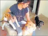  ??  ?? Happy Pooches, a boarding service in Noida’s Sector 108, is currently hosting 12 pets.