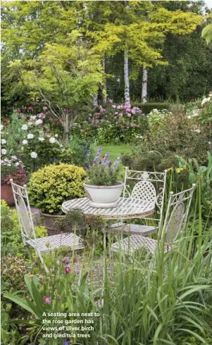  ??  ?? A seating area next to the rose garden has views of silver birch and gleditsia trees