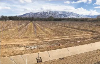  ?? Susan Montoya Bryan / Associated Press ?? An empty irrigation canal lines a tree farm in Corrales, N.M., as rainstorms grow more erratic and droughts much longer across most of the U.S. West over the past halfcentur­y.