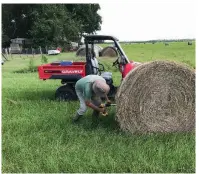  ?? (Special to The Commercial) ?? Martin Carty, a Jefferson County hay producer, demonstrat­es where to take a hay sample using a probe.