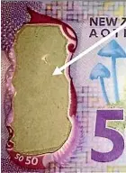  ?? NEW ZEALAND POLICE ?? Rachel Elizabeth Howarth has been charged with using a document for pecuniary advantage and possessing a forged banknote.