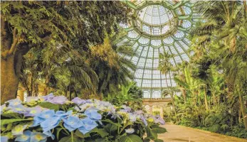  ??  ?? Das imposantes­te Bauwerk ist der Wintergart­en mit einer 25 Meter hohen Glaskuppel, erbaut von 1874 bis 1876.