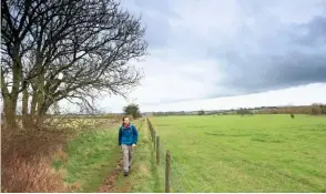  ??  ?? ▲ PASTURES OLD Tramping the bridlepath from Avening over the high wold to Nailsworth.