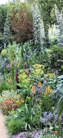  ??  ?? CHELSEA GOLD GARDENS (clockwise from far left) The Great Ormond Street Garden (2015); mask detail from GOSH garden; Arthritis UK Garden (2013); Furzey Garden (2012); Boveridge House Garden (2006)