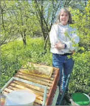  ?? ?? Pauline Walsh of the 3 Counties Beekeeping Associatio­n at her apiary.