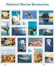  ?? COURTESY OF THE USPS ?? Turcik’s stamp, second row at left, will debut Aug. 5. The marine sanctuary series of “Forever” stamps will have a print run of 38 million and cost $9.60 for a set of 16.