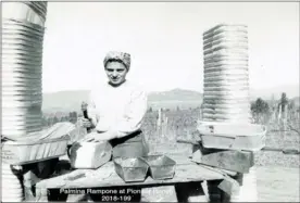  ?? Special to the Daily Courier ?? Above, Palmina Rampone Genievich assembling grape baskets at the Casorso Pioneer Ranch circa 1950.Below, Albert Rampone driving tractor cutting silage corn, which is being blown into his 1946 Chevrolet truck circa 1950.