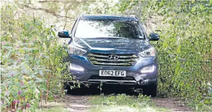  ??  ?? Hyundai Santa-Fe Premium: Come on, caravanner­s, see if it will tackle the quicksand.