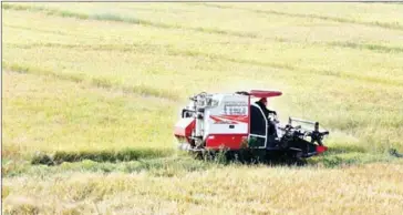  ?? HENG CHIVOAN ?? A tractor drives through a paddy field in 2016 in Tbong Khmum province.