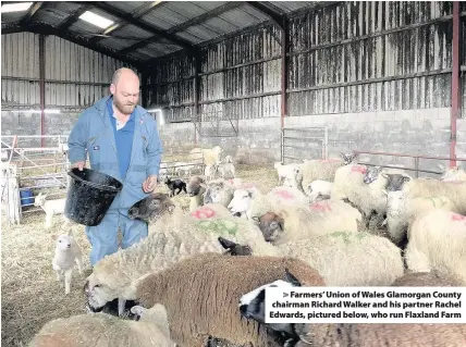  ??  ?? > Farmers’ Union of Wales Glamorgan County chairman Richard Walker and his partner Rachel Edwards, pictured below, who run Flaxland Farm