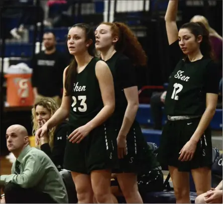  ?? BY JOE BOYLE JBOYLE@DIGITALFIR­STMEDIA.COM @BOYLERALER­TTROY ON TWITTER ?? Meghan Huerter and Rylee Carpenter cheer on their team from the bench at Columbia High School on January 17 as Shen cruised to the 66-33 win over Columbia.