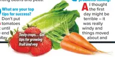  ??  ?? Tasty crops… Get tips for growing fruit and veg