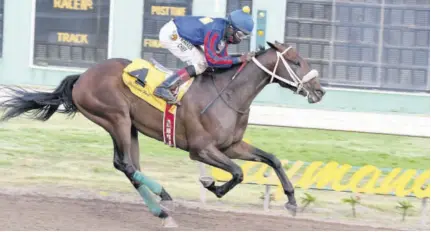  ?? (Photos: Observer file) ?? Calculus, according to his trainer, stays forever and a day.