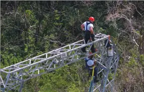  ?? Associated Press photo ?? In this Oct. 15 file photo, Whitefish Energy Holdings workers restore power lines damaged by Hurricane Maria in Barcelonet­a, Puerto Rico. The Federal Emergency Management Agency said Oct. 27, it had no involvemen­t in the decision to award a...