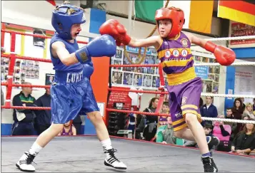  ??  ?? Wicklow’s Luke Mulhall and Wexford’s Johnny Connors in action in Sacre Coeur, Enniscorth­y.