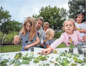  ??  ?? A group of girls participat­e in the “Build Your Own Terrarium” station at the Strong GIRL Fest Saturday. ARIEL COBBERT / THE COMMERICAL APPEAL