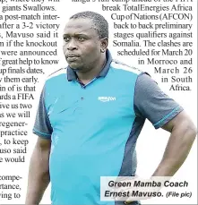  ?? (File pic) ?? Green Mamba Coach Ernest Mavuso.