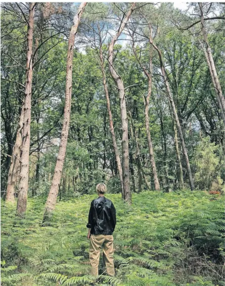  ?? FOTO: JANA BAUCH ?? Unten das Grün der Farne, oben die Blätter der Bäume: Unterwegs im Birgeler Urwald.