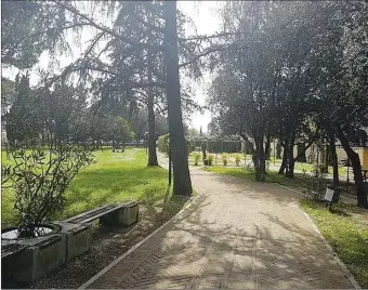  ??  ?? Orti Orfini Il parco è stato riaperto e ripulito, il priore del rione La Mora Alessio Albani ora chiede più rispetto