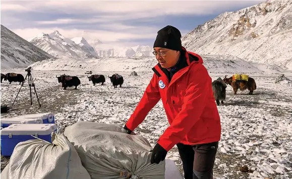  ?? Photo: Xinhua/Jiang Fan ?? Kang Shichang, a researcher with the Northwest Institute of Eco-Environmen­t and Resources, Chinese Academy of Sciences checks supplies at the Mount Qomolangma base camp on May 1, 2022.