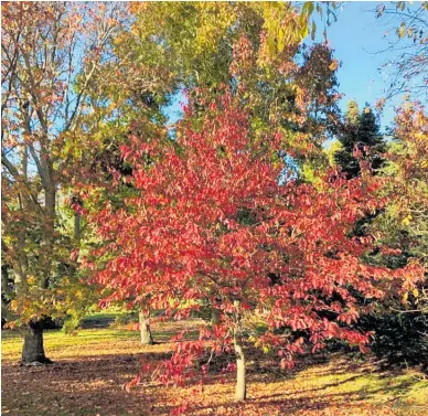  ?? ?? A drive around the city shows off many autumn colours, writes Gareth Carter.
