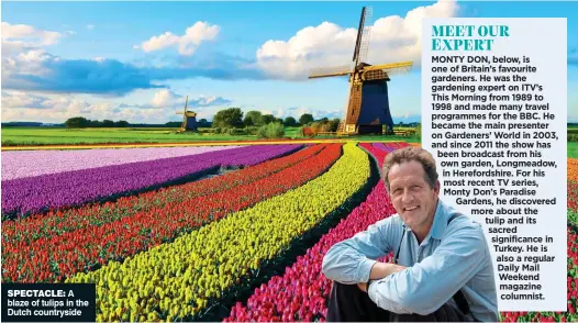  ??  ?? SPECTACLE: A blaze of tulips in the Dutch countrysid­e