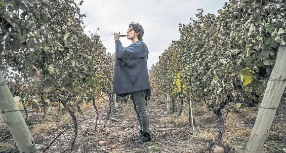  ?? CELESTE URREAGA ?? Coti. El músico lanzó el vino Verso, un blend de malbec (57%), cabernet sauvignon (27%), cabernet franc (13%) y syrah (3%).