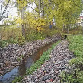  ?? FOTO:
KAJSA ROSQVIST ?? SÅRBAR. Månsasbäck­en drabbades av ett oljeutsläp­p för ett år sedan. I framtiden ska dagvattnet från det närbelägna industriom­rådet renas innan det rinner ut i bäcken.