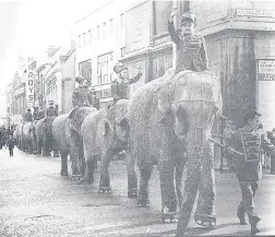  ??  ?? Elephants on Gloucester Cross in 1965