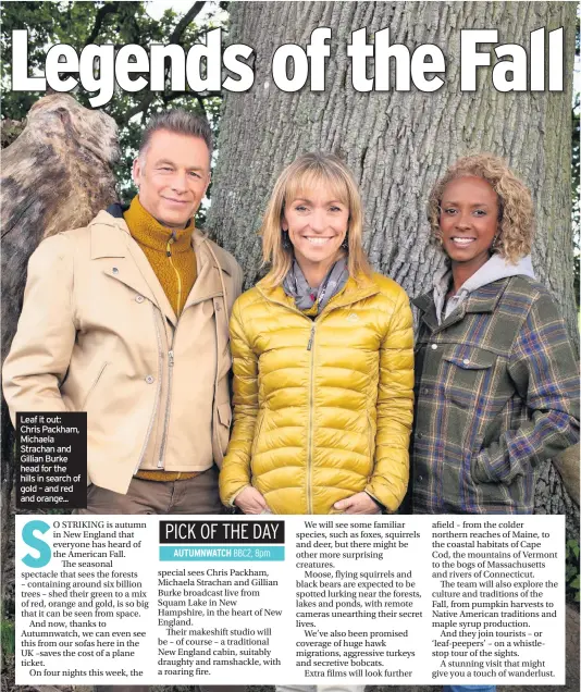  ??  ?? Leaf it out: Chris Packham, Michaela Strachan and Gillian Burke head for the hills in search of gold – and red and orange...