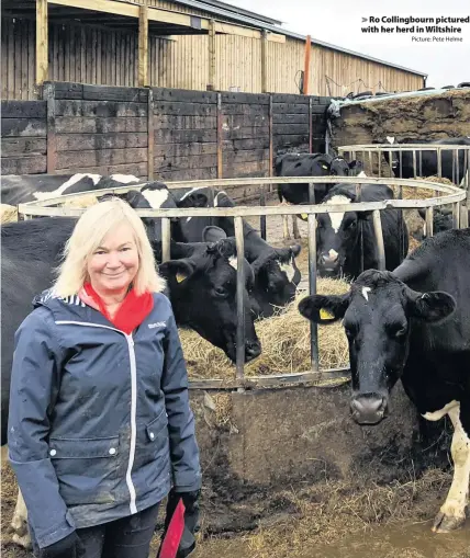  ?? Picture: Pete Helme ?? > Ro Collingbou­rn pictured with her herd in Wiltshire