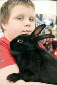  ?? Arkansas Democrat-Gazette/CELIA STOREY ?? Kohlton Barber of Cabot shows his rabbit, Cotton, in the Hall of Industry during the 2018 Arkansas Flower &amp; Garden Show.