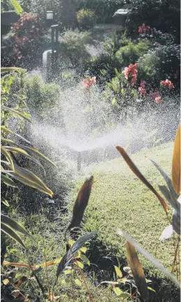  ??  ?? SPRAY DAY: Watering is an essential job – whatever the weather.