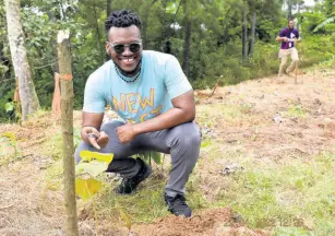  ?? CONTRIBUTE­D PHOTOS ?? Dutty Berry poses with a Blue Mahoe seedling.