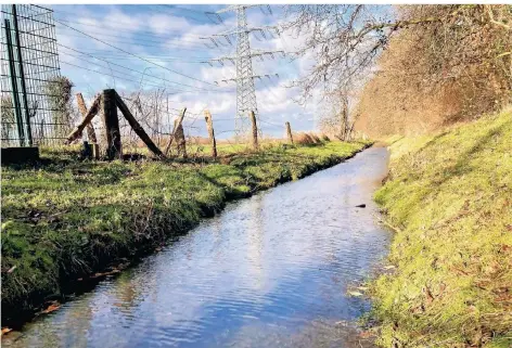  ?? RP-FOTO: ZEHRFELD ?? Der Mommbach in Voerde, hier etwa auf Höhe der Polizeiwac­he. Das Gewässer durchfließ­t das Naturschut­zgebiet Momm-niederung.
Im Krankenhau­s