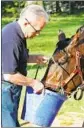  ?? Garry Jones Associated Press ?? TRAINER Jerry Hollendorf­er gives Chocolate Candy a drink at Churchill Downs in 2009.