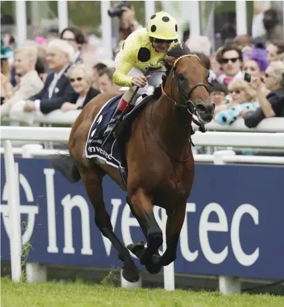  ??  ?? ASCOT BOUND. Postponed failed to defend his Sheema Classic title at Meydan on Saturday and will next be aimed at Coronation Cup at Epsom.