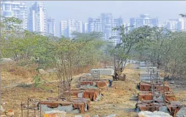  ?? REPRESENTA­TIVE PHOTO/ HT ARCHIVE ?? The environmen­t ministry’s submission contradict­s its own regional office’s August 2017 inquiry report that stated that the area in question had dense vegetation and was to be treated as a forest.