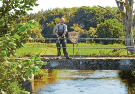  ?? Foto: Laura Gastl ?? Helmut Ludl kennt die Friedberge­r Ach bei Thierhaupt­en von Kindesbein­en an. Er hat einen starken Rückgang des Fischbesta­ndes festgestel­lt.