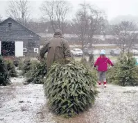  ?? KASSI JACKSON/HARTFORD COURANT ?? A family cuts a Christmas tree at the Syme Family Farm last month in East Windsor.
