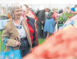  ?? Picture: Mhairi Edwards. ?? Perpetual carnations attract admiring glances.