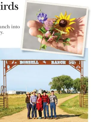  ??  ?? The Bonsell family (above) used a mix of wildflower­s including blue flax, red clover, Maximillia­n sunflower and aster (top).