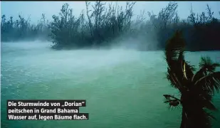  ??  ?? Die Sturmwinde von „Dorian“peitschen in Grand Bahama Wasser auf, legen Bäume flach.