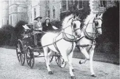  ??  ?? Princess Mary driving her beautiful spirited white horses through the grounds of Windsor Castle, accompanie­d by the Queen’s maid of honour. — Otago Witness, 11.12.1918.