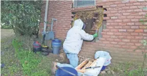  ?? DAVID GLOVER ?? David Glover of Bartlett removes the honeycomb bees built behind bricks at a Germantown home.