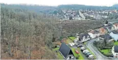  ?? FOTO: HEIKO LEHMANN ?? Auf Bitten der Anwohner hat die Deutsche Bahn an einem Bahnhang in Fischbach die Bäume fällen lassen.