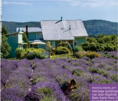  ??  ?? PHOTOS FROM LEFT Heritage buildings line rue Jean-Baptiste in
Baie-Saint-Paul; Organic lavender farm outside Baie-Saint-Paul.