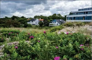  ?? ?? Udbuddet af sommerhuse er steget med 17 pct. på et år. Arkivfoto: Stine Bidstrup